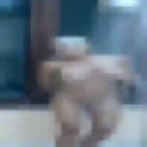 Profil de Christine à Machecoul-Saint-Même (20 ans) - rencontre adulte gratuit