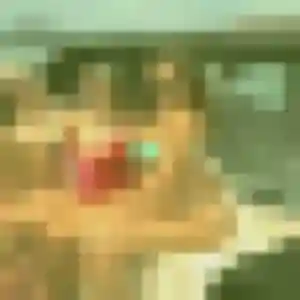 Photo perso de Zelda, 38 ans à Magny-en-Vexin - rencontre coquine