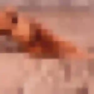 Jihane, 36 ans, connectée à Manosque pour un rencontre adulte