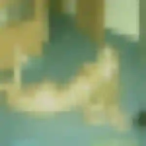 Photo exclusive de Melodie, 38 ans à Marsillargues - rencontre coquine