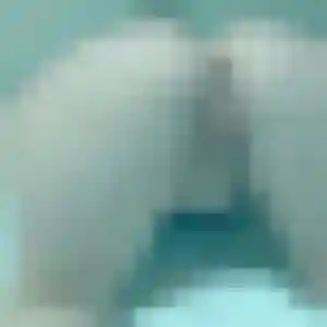 rencontre adulte à Mézidon Vallée d'Auge : profil de Magalie, 33 ans - sans engagement
