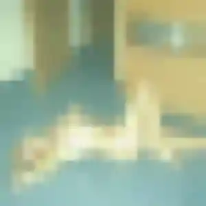 Rebecca, 44 ans, en ligne à Montceau-les-Mines pour un rencontre adulte