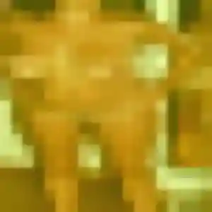 Photo sexy de Anna, 40 ans à Mouy - rencontre sans lendemain