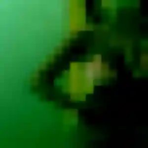Daniela, 35 ans, cherche un rencontre adulte à Neuves-Maisons