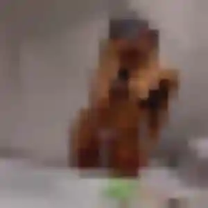 Noura (36 ans) à Oberhausbergen cherche un rencontre adulte rapidement