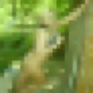 Armelle (42 ans) à Ollioules cherche une rencontre ce soir