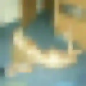 Fanny, 24 ans, en ligne à Orgères pour un rencontre adulte