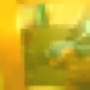 Naomi, femme de 35 ans propose rencontre adulte à Oullins-Pierre-Bénite