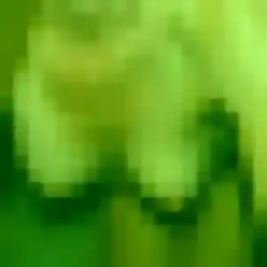 Photo privée de Rosalie, 23 ans à Palavas-les-Flots - plan discret