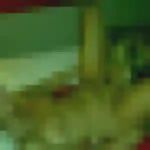 Lilou de Pierrelatte, 41 ans - rencontre adulte discret