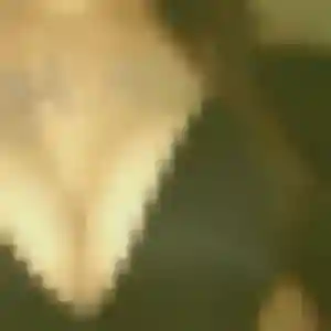 Rejoins Lina, 39 ans à Plaisir en privé