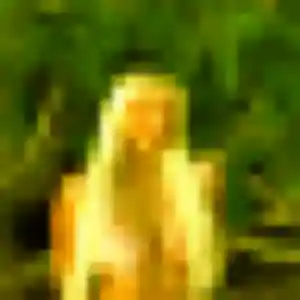Photo exclusive de Catherine, 36 ans à Plouhinec - rencontre sans lendemain