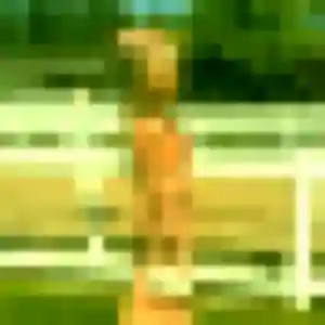 Photo privée de Clara, 44 ans à Poitiers - plan discret