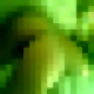 Isaure, 36 ans, connectée à Raismes pour une rencontre coquine