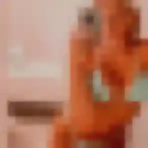 Romina, 29 ans, en ligne à Rives-du-Loir-en-Anjou pour une rencontre coquine