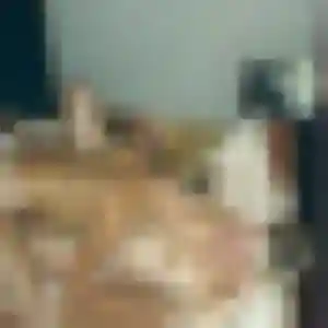 Contacte Sylviane, 24 ans à Romilly-sur-Seine en privé