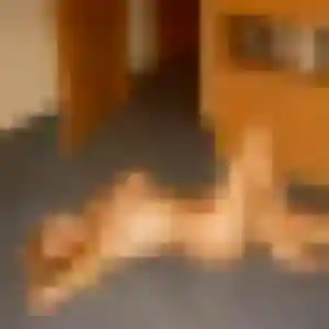 Découvre Marie-Ange, 21 ans à Roquebrune-sur-Argens en privé