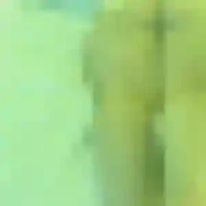 Chiara, fille de 41 ans propose rencontre adulte à Saint-Cannat