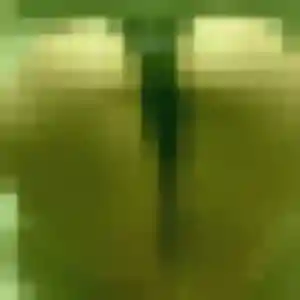 Profil de Romane à Saint-Gilles-Croix-de-Vie (34 ans) - rencontre adulte gratuit