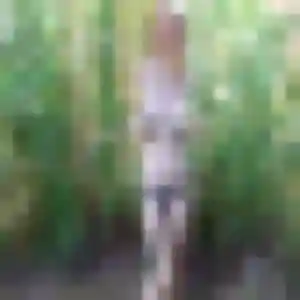 Pauline (36 ans) à Saint-Jean cherche une rencontre maintenant