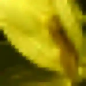 Photo sexy de Phoebe, 44 ans à Saint-Michel-sur-Orge - plan discret