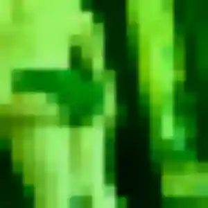 Sexy Lise, 35 ans à Saint-Paul-lès-Dax - la contacter