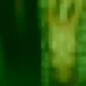 Helena, 39 ans, connectée à Salazie pour une rencontre coquine