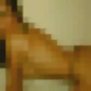 Photo perso de Elsa, 37 ans à Sète - rencontre coquine