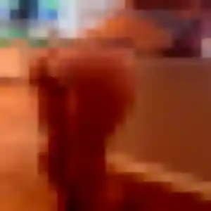 Debora, femme de 24 ans veut rencontre adulte à Sisteron