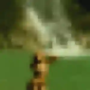 Frederique, fille de 22 ans cherche rencontre adulte à Sucé-sur-Erdre