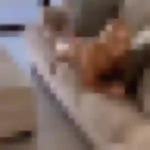 Camille, 39 ans, en ligne à Valenciennes pour une rencontre coquine
