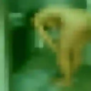 Martine, fille de 40 ans cherche rencontre adulte à Vallons-de-l'Erdre