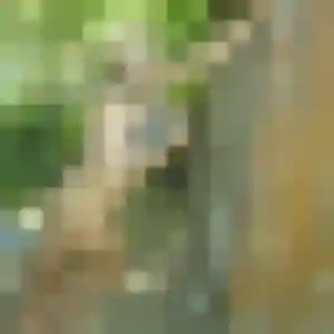 Adeline, 27 ans, dispo pour rencontre adulte à Vandœuvre-lès-Nancy