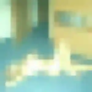 Roxane, 36 ans, en ligne à Veigné pour un rencontre adulte