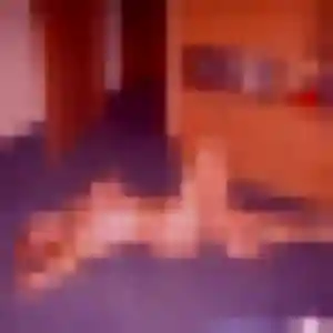 Charlotte, 24 ans, en ligne à Vert-Saint-Denis pour un rencontre adulte