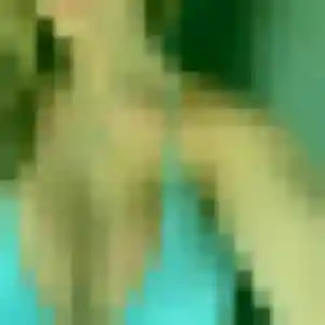 rencontre adulte à Vidauban : profil de Joanne, 42 ans - inscription gratuite