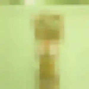 Photo perso de Sixtine, 21 ans à Vieux-Habitants - plan discret