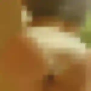 Jolie Xaviere, 28 ans à Wasquehal - la contacter
